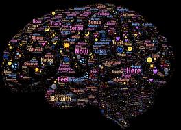 brain mind mindfulness drawing
