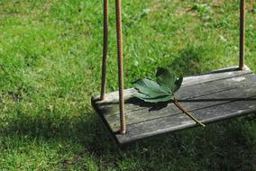 Leaf on wooden Swing in Garden