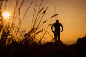 lonely man on the field against a yellow sky