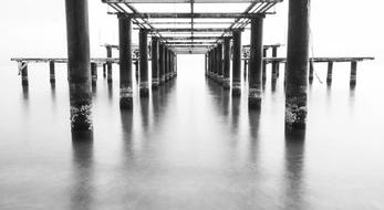 Black And White Marine