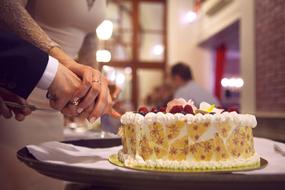 the groom and the bride cut the cake at the wedding