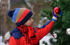 Christmas Winter Celebration