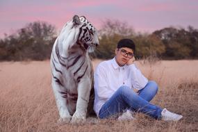 Beautiful white and black tiger with the guy on the field