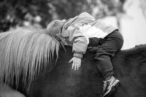 Pony Horse and child black and white