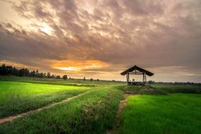 Home Outside Thailand