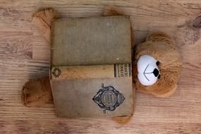 teddy and cookbook