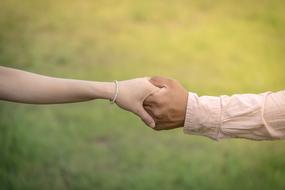 female Hand in male Hand, Wedding