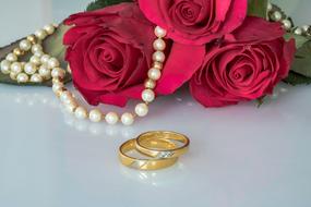 golden wedding rings and roses