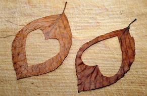 dry leaves heart decoration