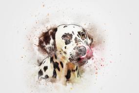 abstract portrait of a Dalmatian