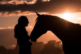 Silhouette Horse and girl
