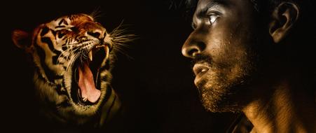 profile of a man and a predatory tiger