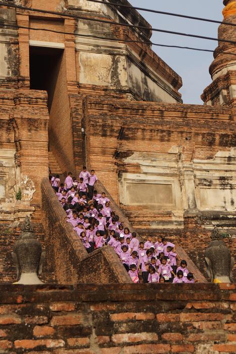 Beautiful and colorful Temple of Buddha, with the purple flowers, in Thailand