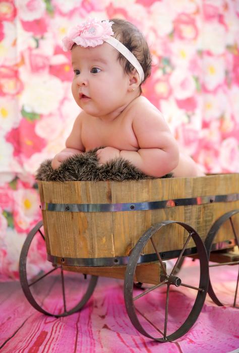 Cute baby, with the band, in the carriage, near the colorful and beautiful flowers