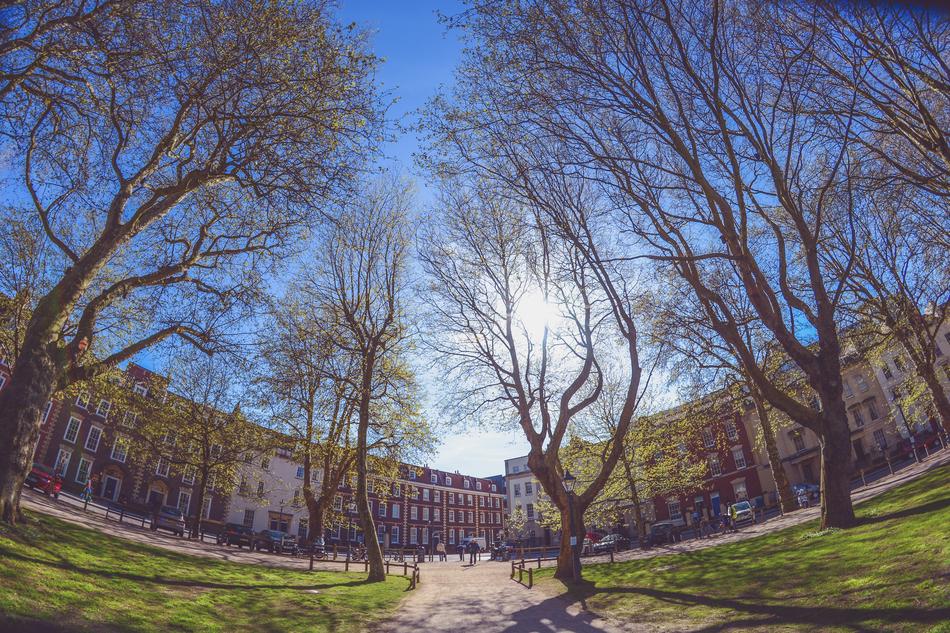 optical photo of the park in front of the building