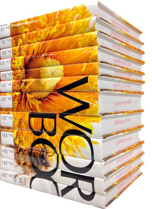 Encyclopedias on white background