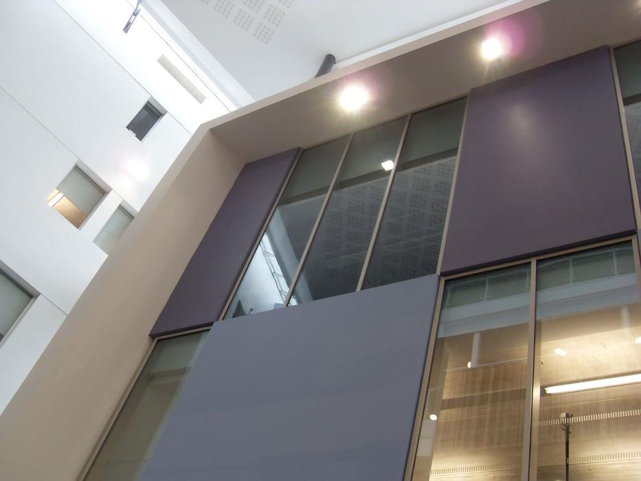 daylight in modern architecture