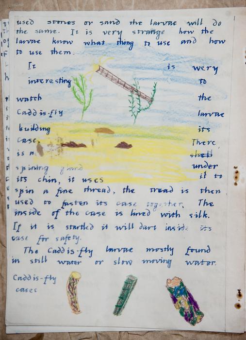 children's project for school