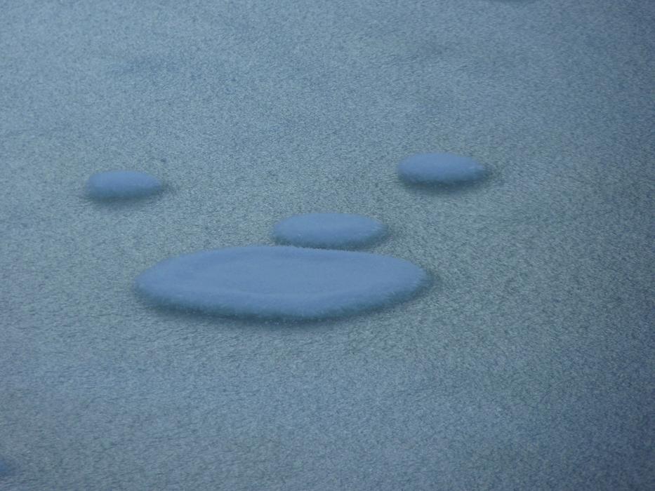 snow cover on the ground in winter