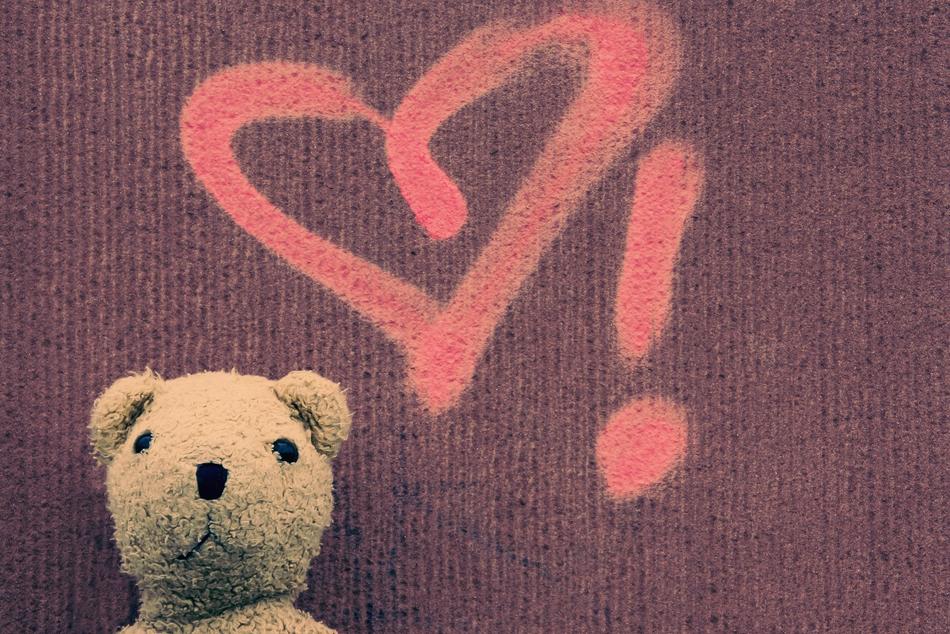 teddy bear on the background of the heart
