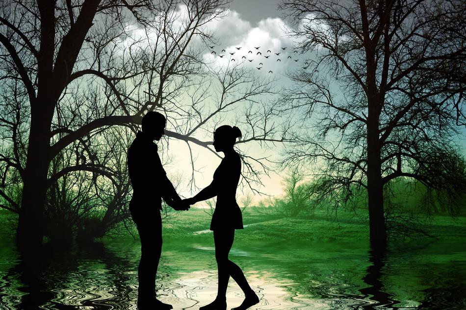 silhouette of a couple in love in nature