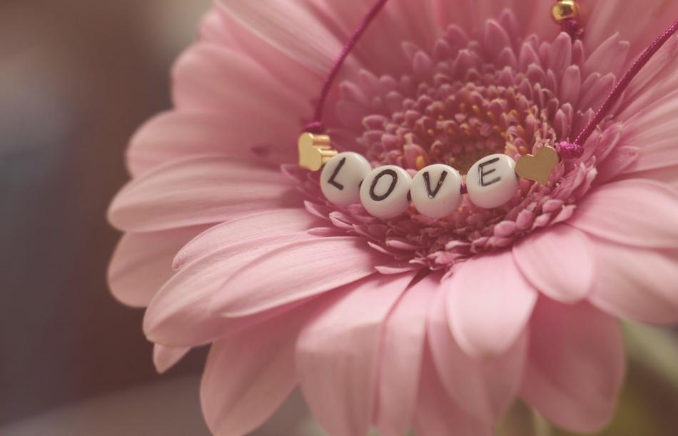 bracelet love on pink gerbera