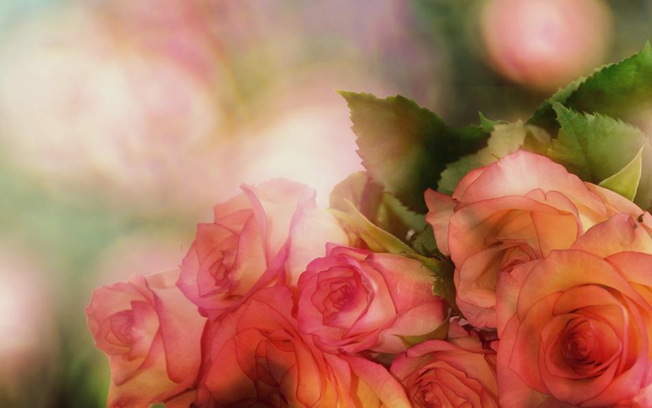 gentle Bouquet Of Flower