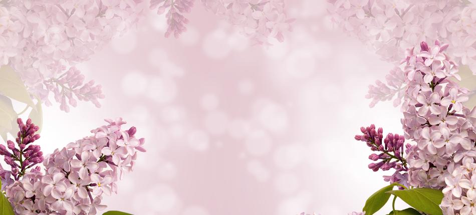 gentle Nature Flower