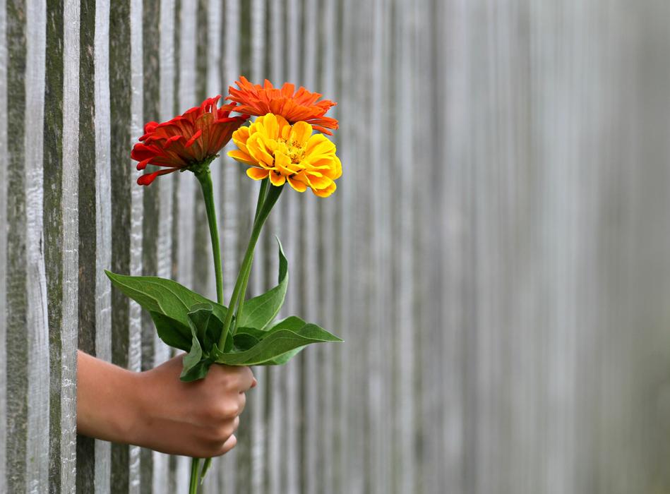 bouquet of flowers over the fence