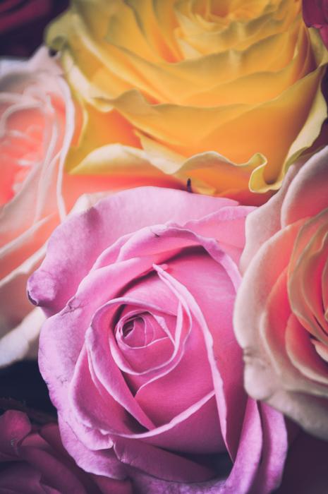 International Women Day Postcard flowers