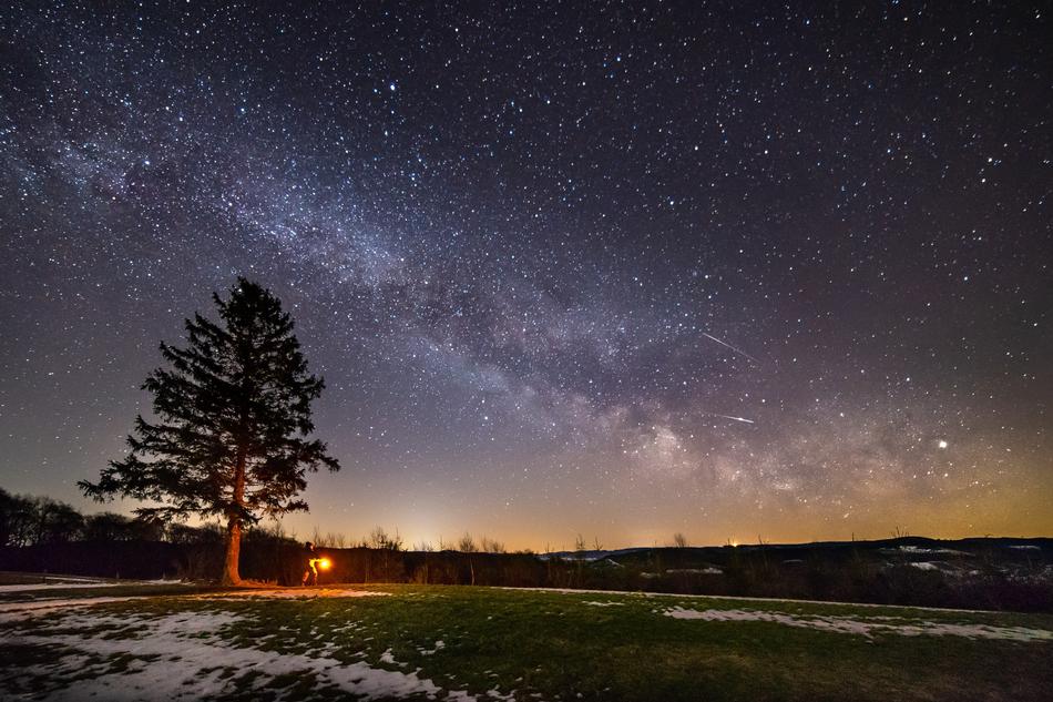 tree on a winter field against the background of the Milky Way