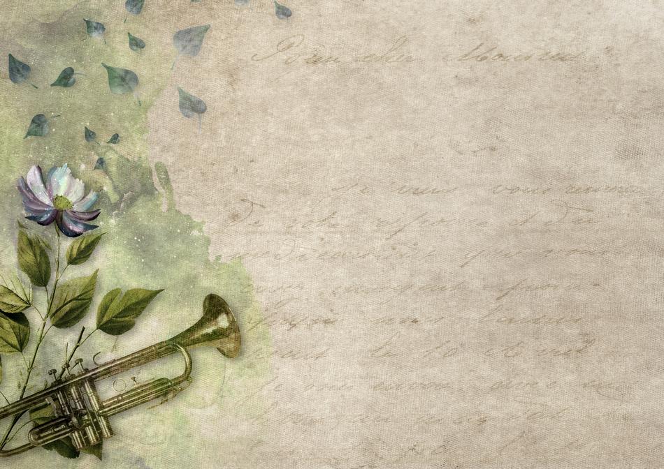 Trumpet with the flowers and vintage paper