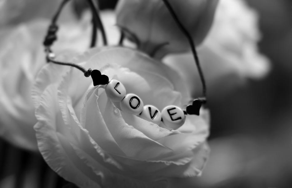 monochrome picture of Love bracelet on Bellflower