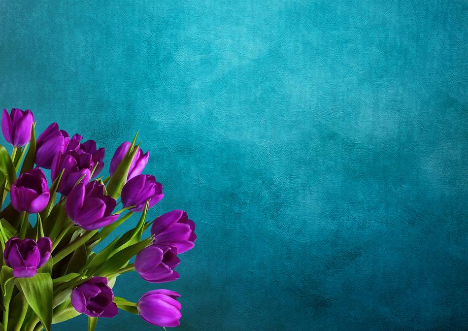 Tulips Bouquet Background