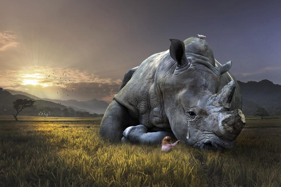 girl in the meadow with a giant rhino as a fantasy