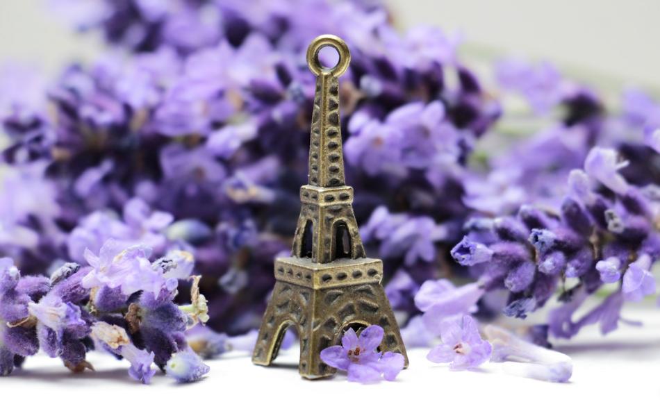 Eiffel Tower Roses