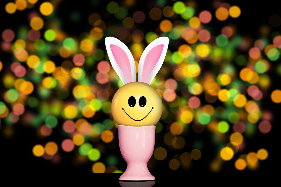 decorative smiley rabbit