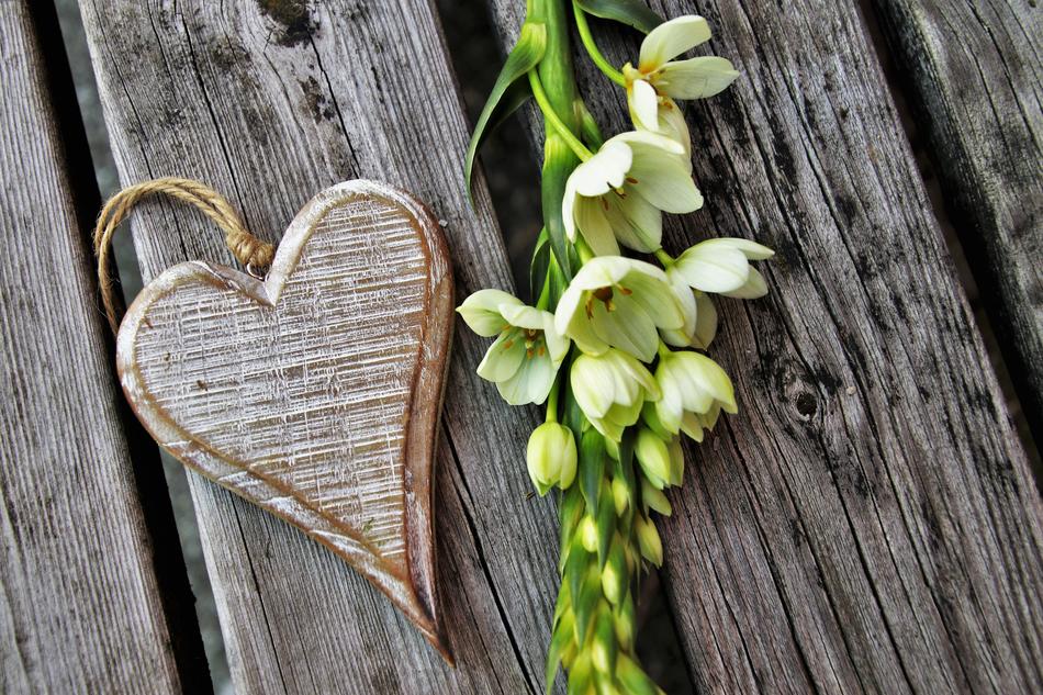 Feeling White Flower heart