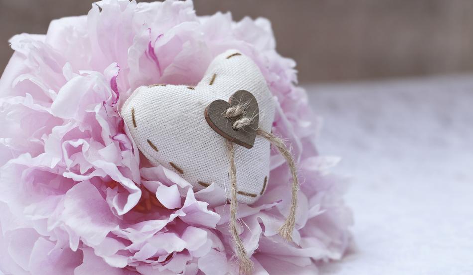 white heart on a pink peony as background