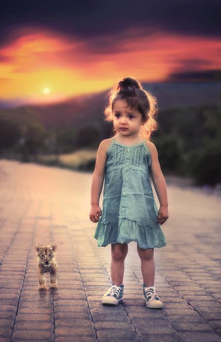 Girl is standing with the dog on the landscape with the sunset