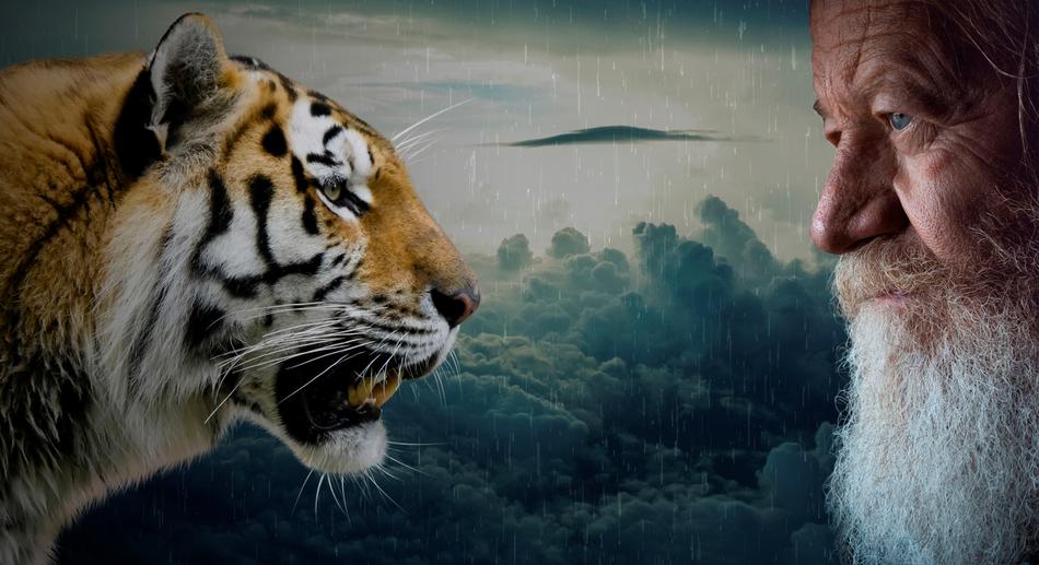 Tigers Head and old man Animal