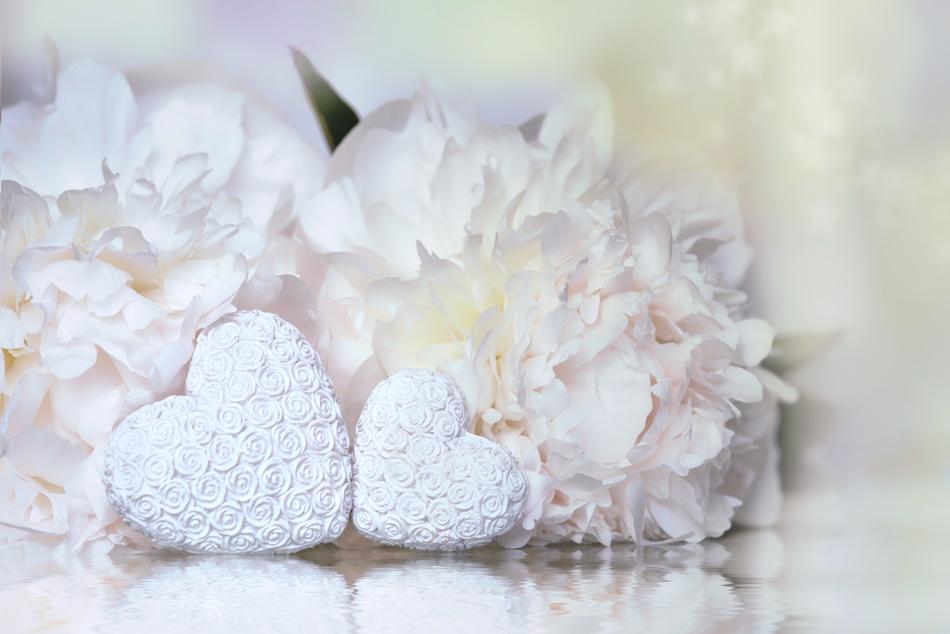 Beautiful white heart made of the peonies