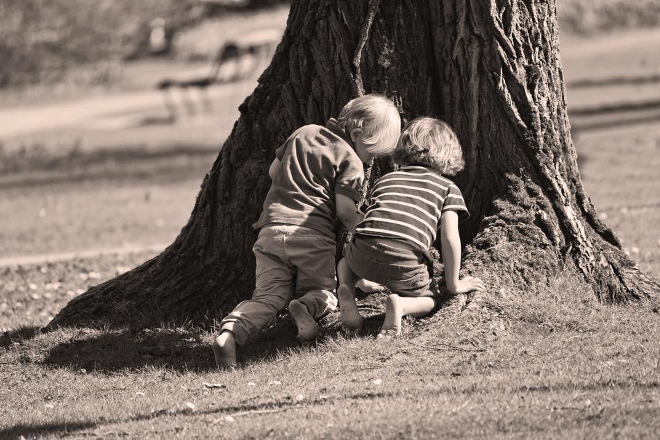 two Little Child Boys kneeling at roots of old tree