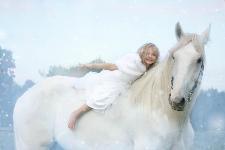 happy child Girl on back of white horse
