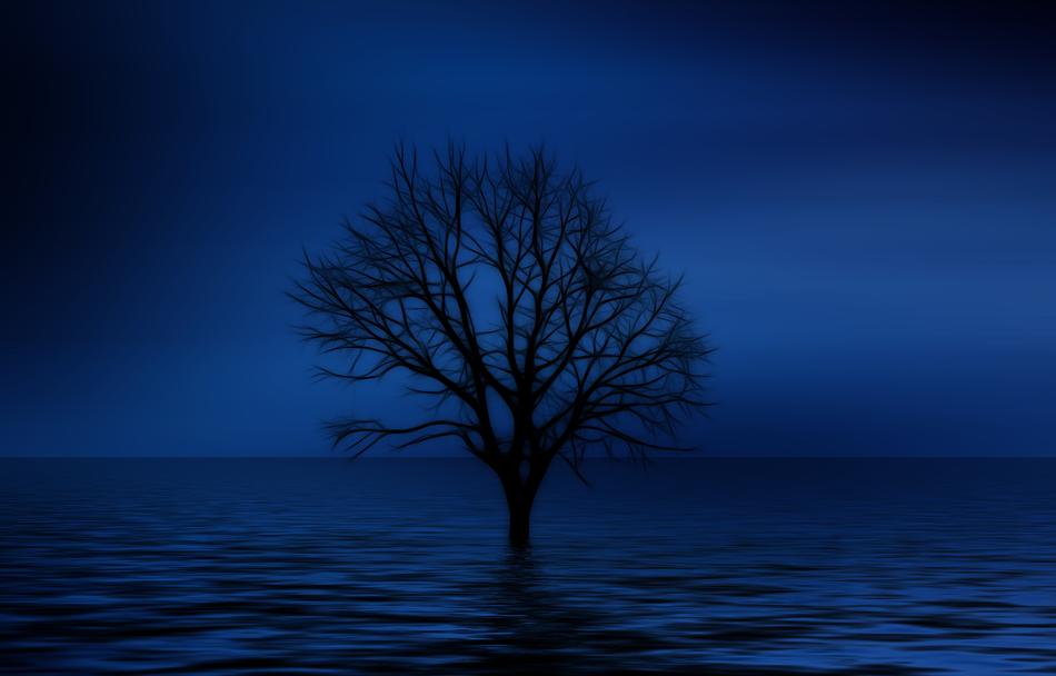 loneliness, concept, bare tree over water at dusk