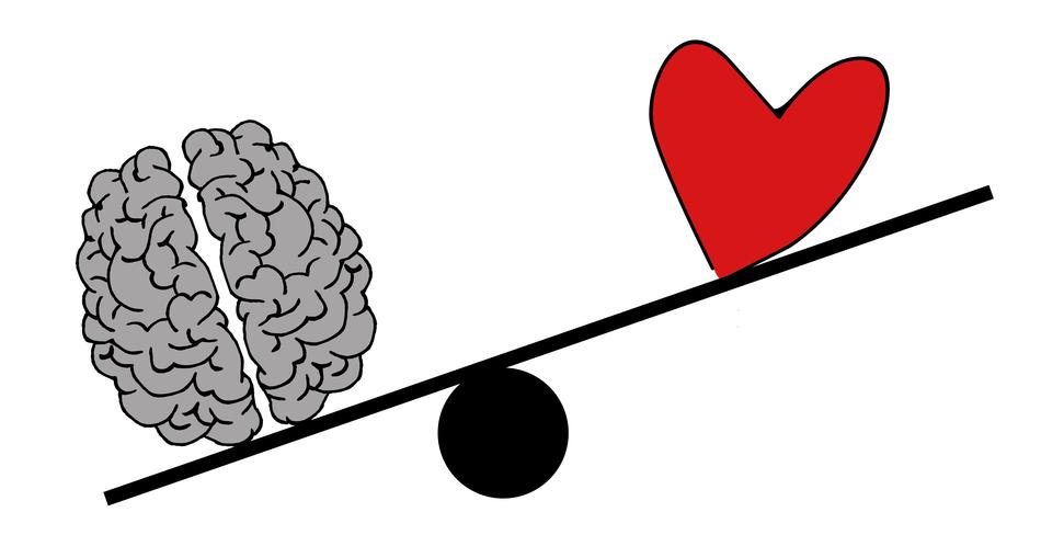 clipart of brain head psychology