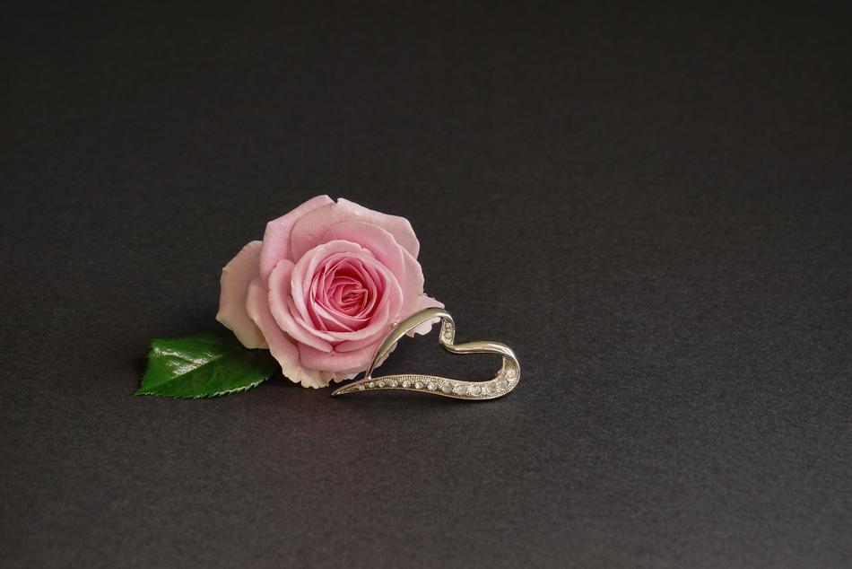 pink Rose and silver Heart at dark background