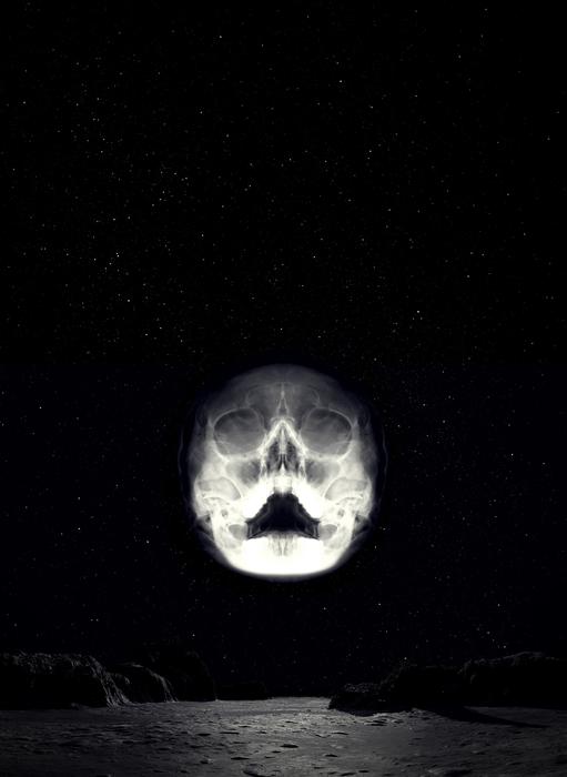 skull landscape
