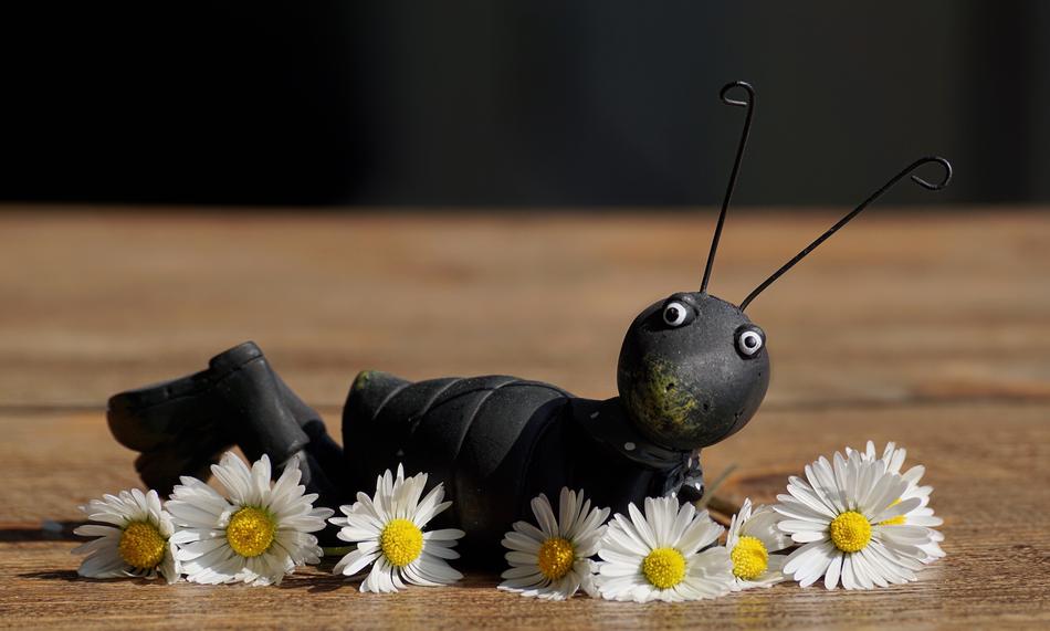 Figure Grasshopper black