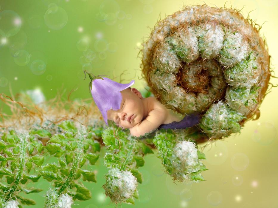 Baby Dreams as a fantastic drawing